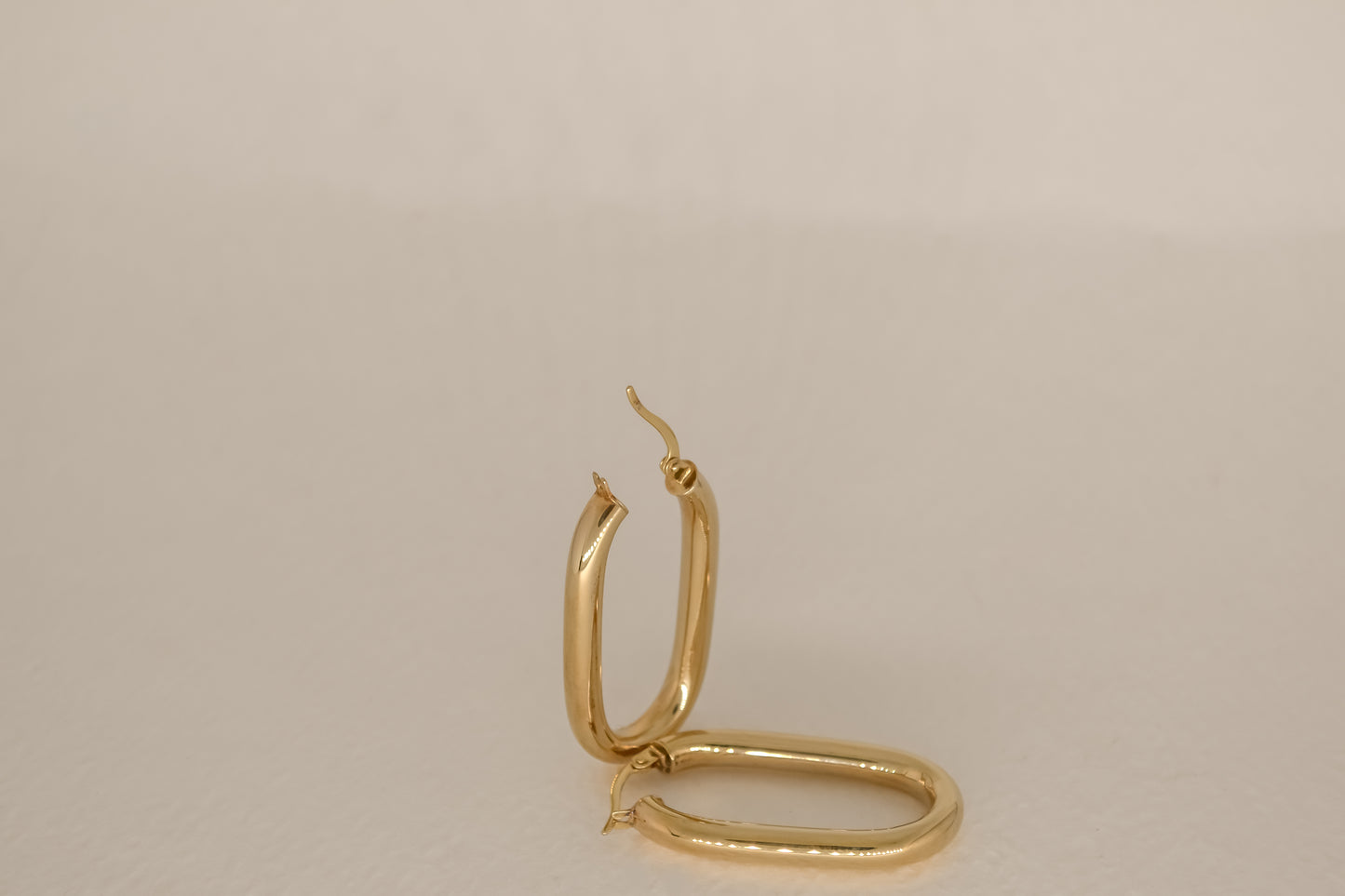 Payas Chunky Oval Gold Hoop Earrings
