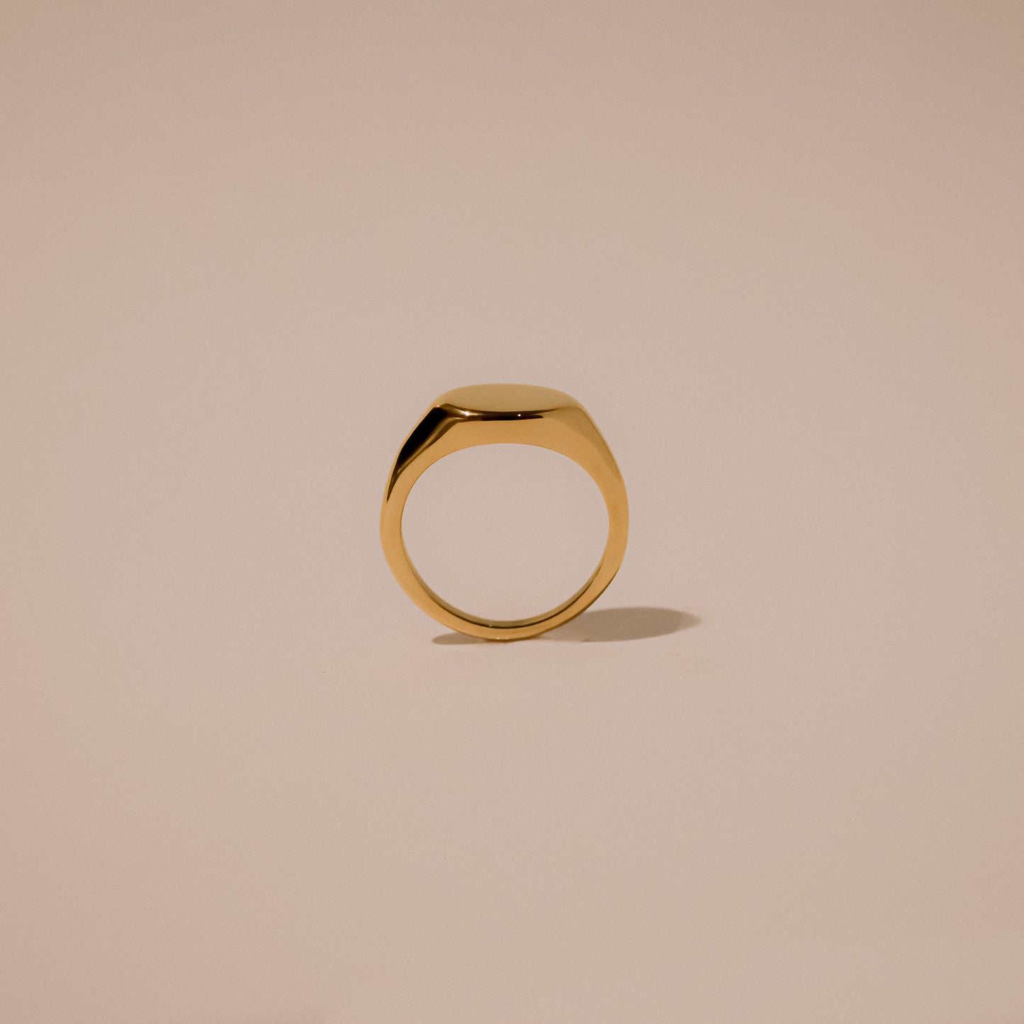 Tempo Gold Signet Ring