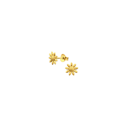 Meadow Gold Daisy Studs