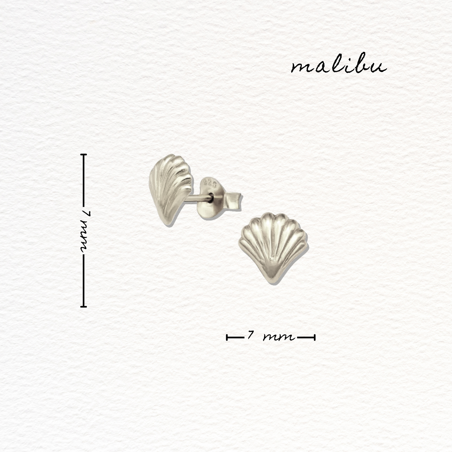 Malibu Silver Shell Studs