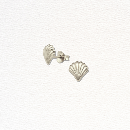 Malibu Silver Shell Studs