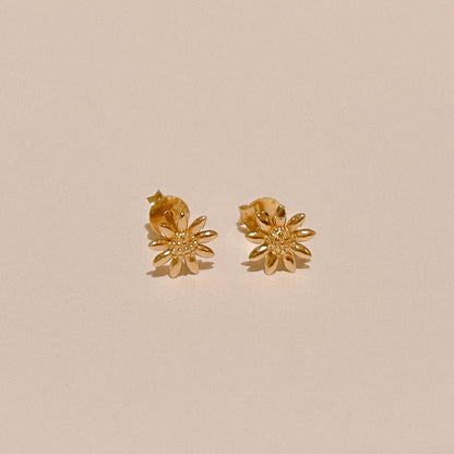 Meadow Gold Daisy Studs