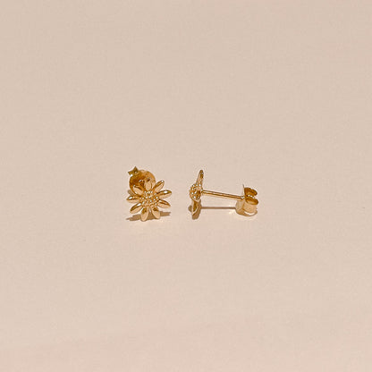Meadow Gold Daisy Studs