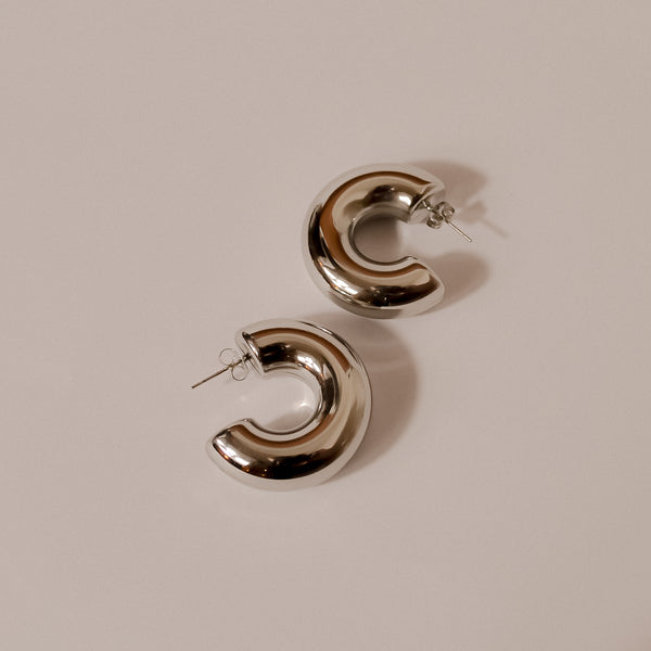 Silver Fern Earrings