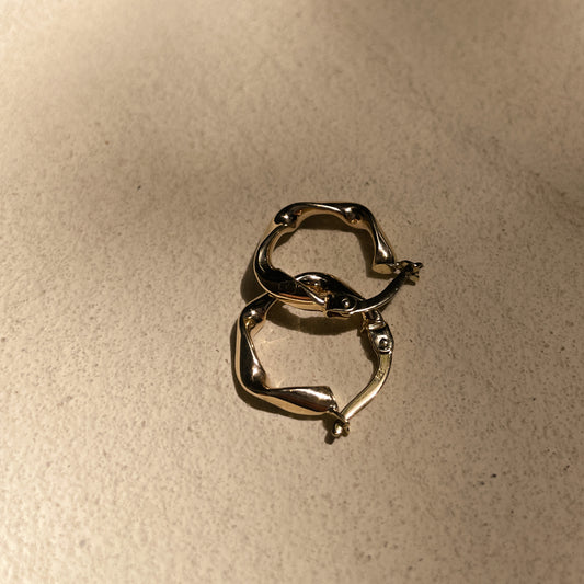 Solid 9k Gold Portray Small Hoop Earrings